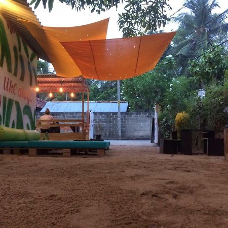 Coco Hostels - Arugambay Vịnh Arugam Ngoại thất bức ảnh