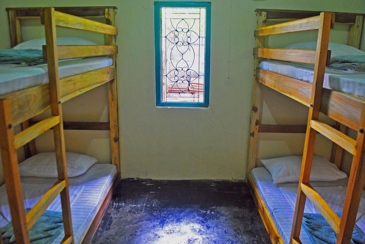 Coco Hostels - Arugambay Vịnh Arugam Ngoại thất bức ảnh